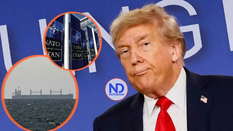 Trump arremete otra vez contra OTAN; la tilda de tigre de papel