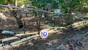 Reportan colapso de verja perimetral en escuela de Sabana Alta, en San Juan