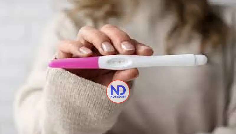 El misterio del hombre embarazado 2 El misterio del hombre embarazado