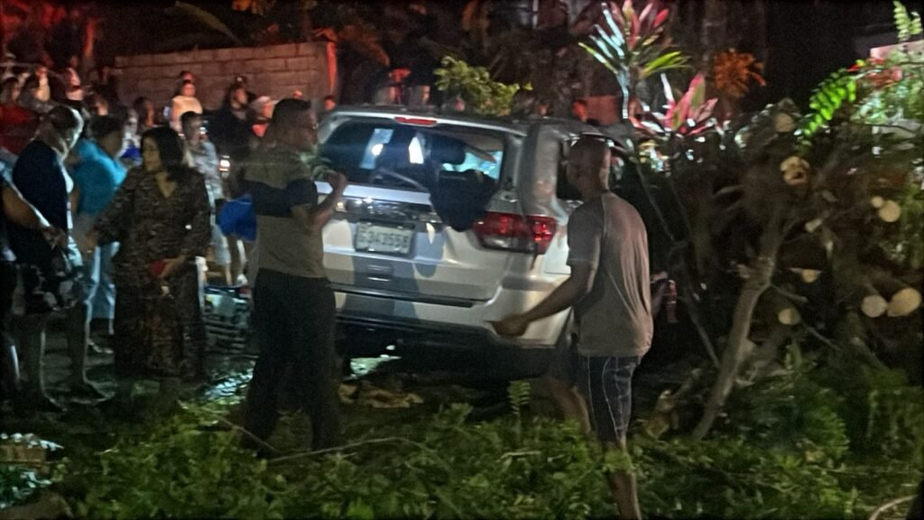 accidente 3 Profesora impacta su vehículo contra un árbol en Hato Mayor y resulta ilesa