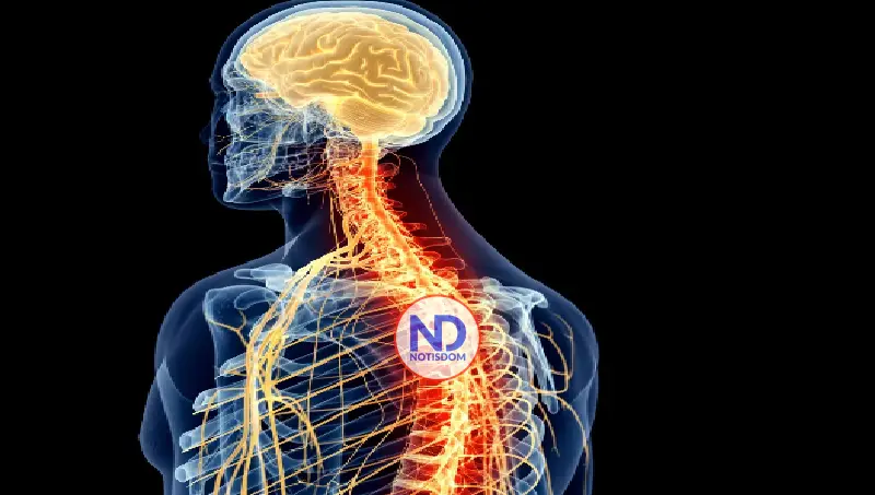 Cómo vivir con esclerosis múltiple y manejar los síntomas para mejorar tu calidad de vida