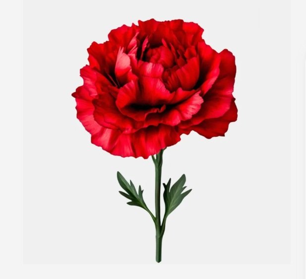 FLOR Este domingo es el Día de las Madres en la Rep. Dominicana
