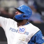 Dominicano Franmil Reyes se destaca en el beisbol de Japón