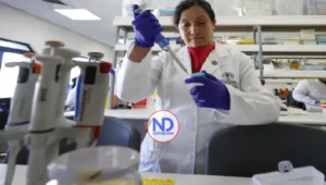 Científicos chilenos avanzan en prometedora vacuna contra el hantavirus
