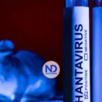 Bruselas pide vigilancia ante posibles nuevos casos de hantavirus