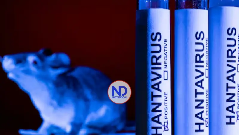 Bruselas pide vigilancia ante posibles nuevos casos de hantavirus