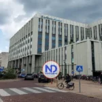Doce empleados sanitarios neerlandeses en cuarentena por posible exposición al hantavirus