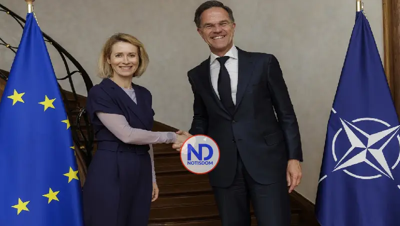 UE califica a la OTAN «la piedra angular» de la defensa europea