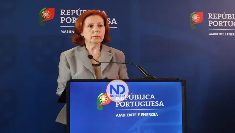 Portugal descarta incentivar el teletrabajo y reducir los vuelos para bajar la demanda