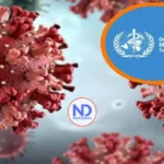 OMS: el hantavirus solo se transmite por contacto estrecho y posible exposición a saliva