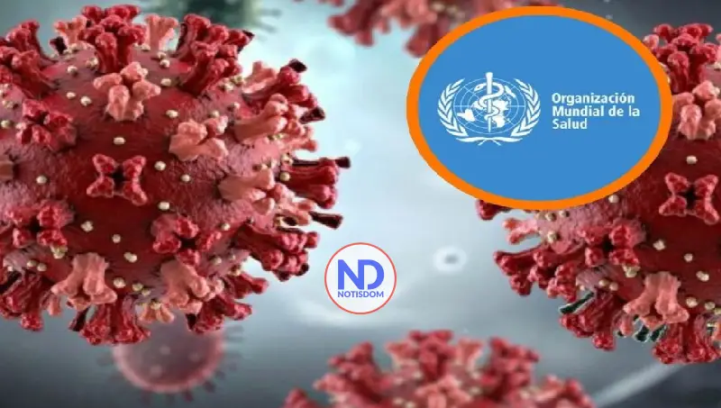 OMS: el hantavirus solo se transmite por contacto estrecho y posible exposición a saliva 2 OMS: el hantavirus solo se transmite por contacto estrecho y posible exposición a saliva