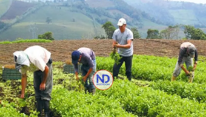Productores agropecuarios RD buscan garantizar alimentos