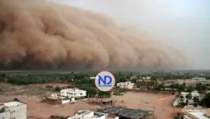 Conozca más sobre el polvo del Sahara