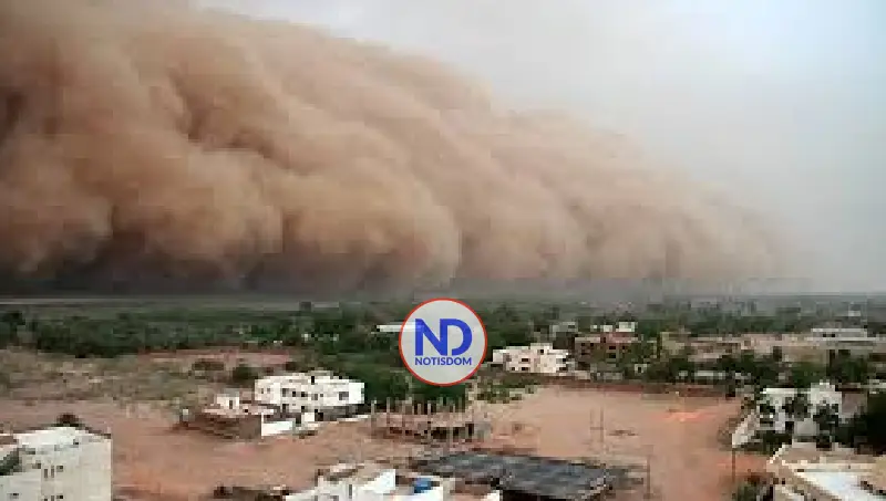 Conozca más sobre el polvo del Sahara 2 Conozca más sobre el polvo del Sahara