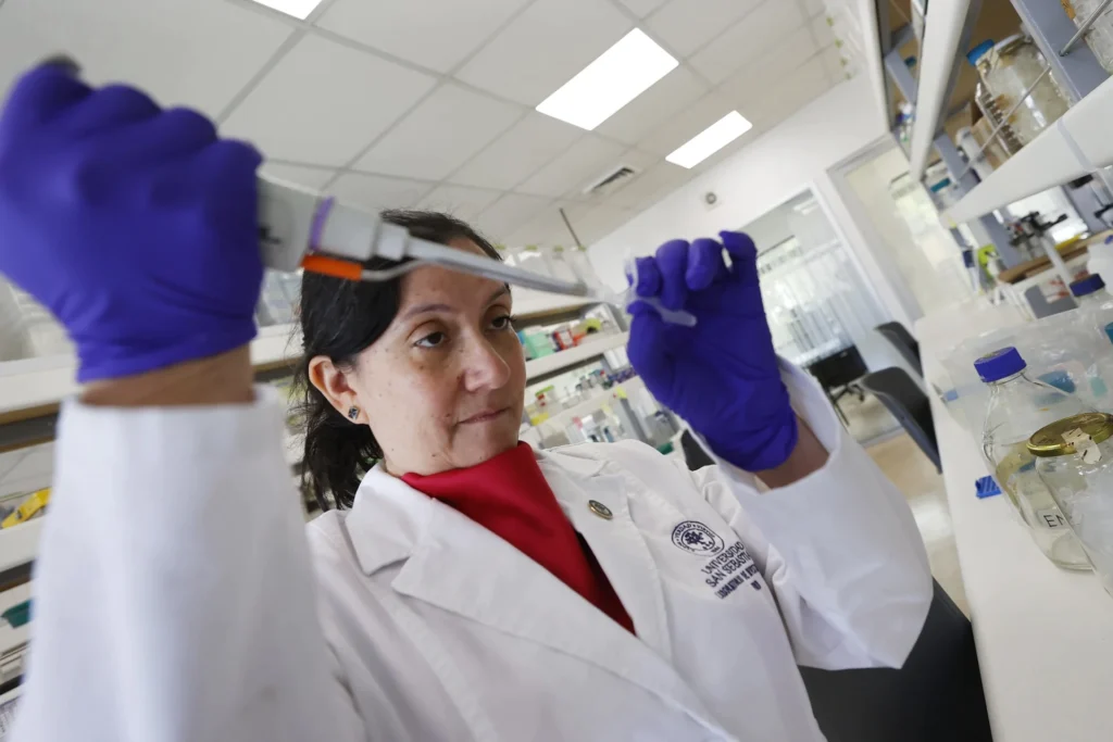 La alentadora vacuna chilena contra el hantavirus que busca fondos para avanzar en humanos 3 vacuna chilena contra el hantavirus La alentadora vacuna chilena contra el hantavirus que busca fondos para avanzar en humanos