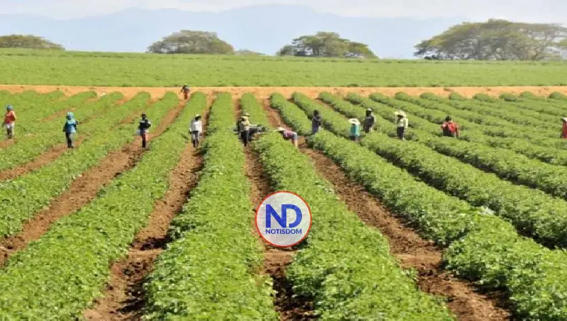 Producción agrícola crece un 12.1% en RD