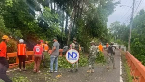 Granizada y ventarrón causan daños en Loma de Cabrera