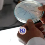 Descubren la manikomicina, un prometedor antibiótico que elimina bacterias resistentes