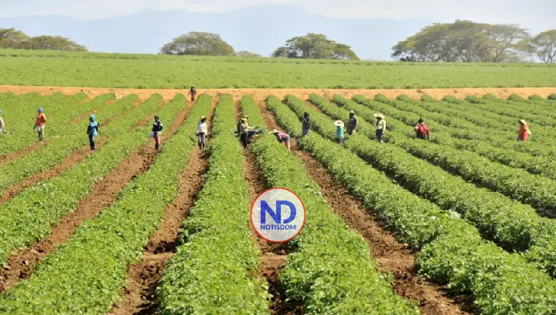 Crédito al agro crece 62.4 % en seis años y supera los RD$132 mil millones