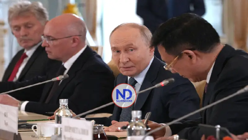Tras cinco años, no hay visos solución guerra Rusia-Ucrania