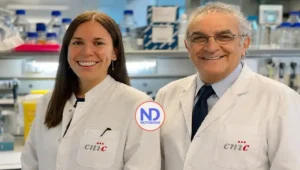 Descubren estrategia que podría prevenir la muerte súbita por arritmias