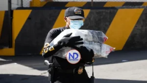 DNCD decomisa más de 32,000 gramos de drogas en varias provincias del país