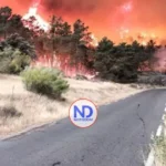 España evacúa 73,000 personas por 2 grandes fuegos forestales