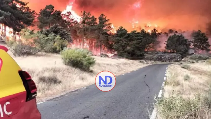 España evacúa 73,000 personas por 2 grandes fuegos forestales