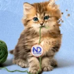 La IA ha arruinado los vídeos de animales adorables