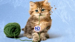 La IA ha arruinado los vídeos de animales adorables