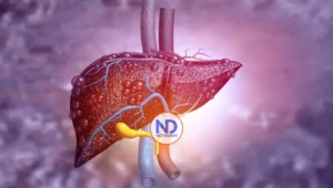 Hepatitis C, una infección que puede curarse en más del 95% de los casos