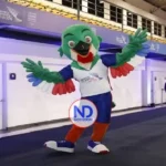 Deportes protege a perros que habitan en instalaciones de Juegos de Santo Domingo