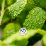 Indomet prevé lluvias y altas temperaturas este jueves
