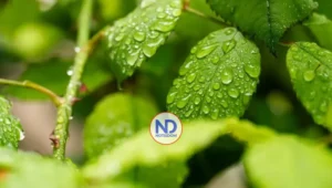 Indomet prevé lluvias y altas temperaturas este jueves