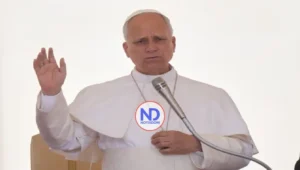 El papa pide rezar por socorristas y personas afectadas en incendios en España y Francia