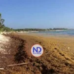 Sargazo playas preocupa RD; una potencia turística caribeña