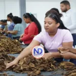 Proindustria fortalece infraestructura con obras que impulsan inversión y generación de empleos