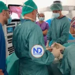 Primer trasplante entre personas con VIH se realiza con éxito en España