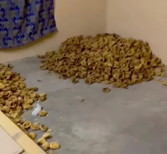 placenta humana en diversas formas Así operaba la red acusada de traficar con placentas humanas