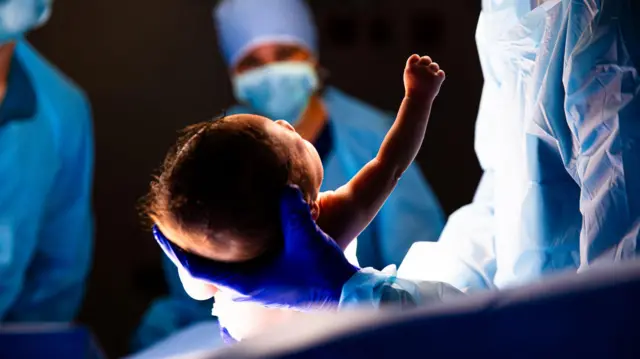 placenta sin tratamiento pueden transmitir virus a sus bebes lactantes Así operaba la red acusada de traficar con placentas humanas