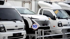 Dealers Lideran Sanciones por Lavado de Activos en RD