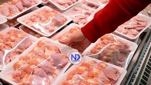 Importación de Pollo en RD se Dispara 45%, Amenazando Producción Local