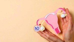 La Importancia Del Diagnóstico Oportuno De La Endometriosis