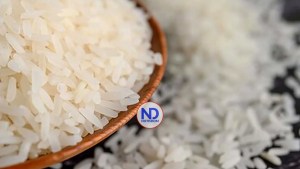 Leonel cuestiona importaciones de arroz