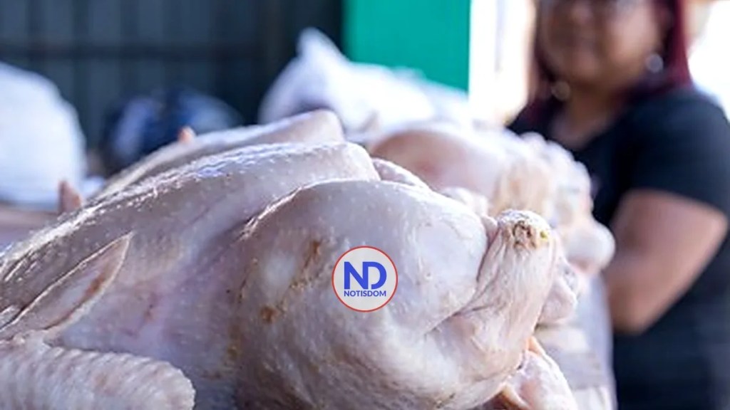 Libra de pollo cotiza entre RD$70 y RD$85 en el Gran Santo Domingo